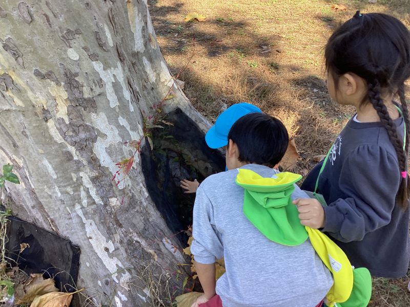 野川公園へ遠足