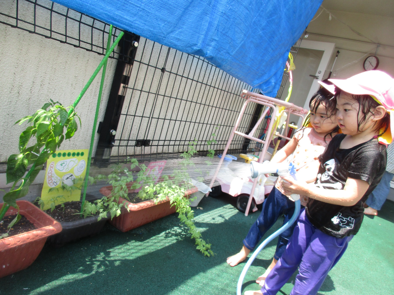 ☆武蔵小金井園☆夏のおたのしみ