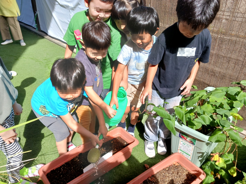 【冬野菜さん大きくな~れ☆】