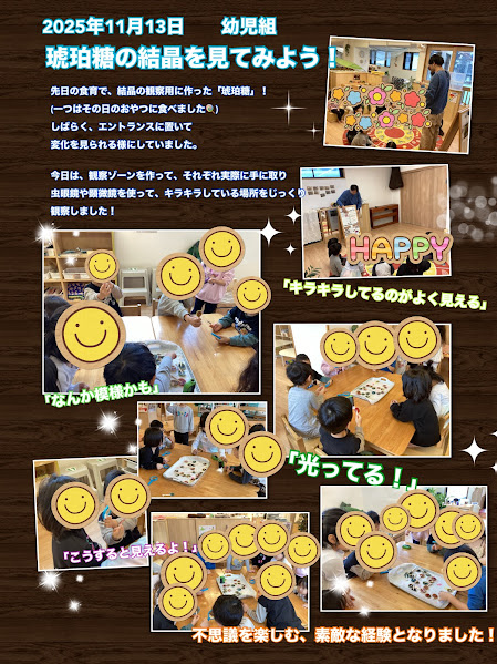 ~琥珀糖の「結晶」観察~