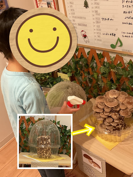 ~きのこ栽培~